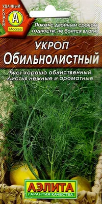 Укроп сушеный оптом | Рассвет – традиции качества