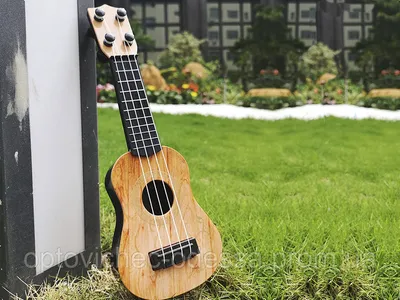 Купить FENDER UKULELE ZUMA NAT WN укулеле по цене 24 400 руб. на  официальном сайте представителя Fender в Москве и России