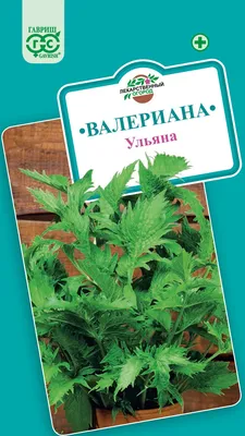 ✓ Семена Валериана Ульяна, 0,15г, Гавриш, Лекарственная по цене 44 руб. ◈  Большой выбор ◈ Купить по всей России ✓ Интернет-магазин Гавриш ☎  8-495-902-77-18