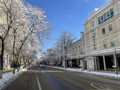 Улица Короленко и инклюзивный парк в Днепре вошли в ТОП-15 лучших  урбан-проектов десятилетия (ФОТО) | Gorsovet