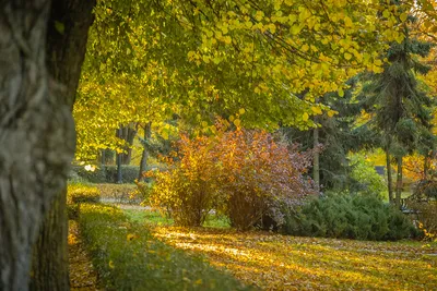 Улыбка осени) Осень просветлённая! | Полный набор осенней кр… | Flickr