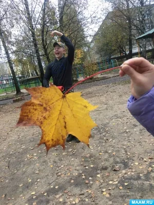 Улыбка осени» — создано в Шедевруме