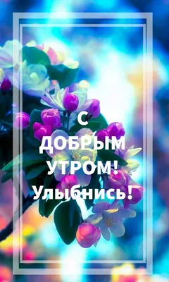 Проснись и улыбнись! — Скачайте на 