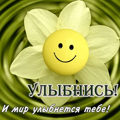Трапеция- улыбнись тебя любят купить в Ростове-на-Дону оптом и в розницу по  цене 40 руб.