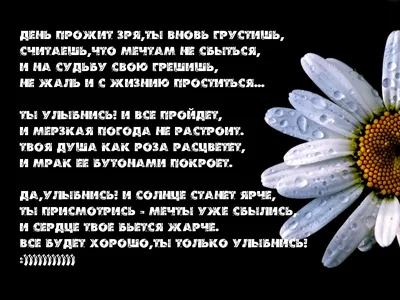 Скачать обои "Улыбнись!" на телефон в высоком качестве, вертикальные  картинки "Улыбнись!" бесплатно