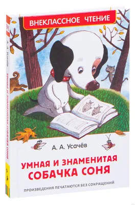 Аудиосказка для детей "Умная собачка Соня" | Собачки, Сказки, Сон