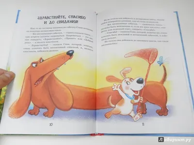 Умная собачка Соня. 4+ Книга 1. Андрей Усачев. 978-966-429-581-6 купити за  низькою ціною на DUMKA.