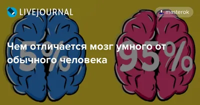 Мозг умного человека» — создано в Шедевруме