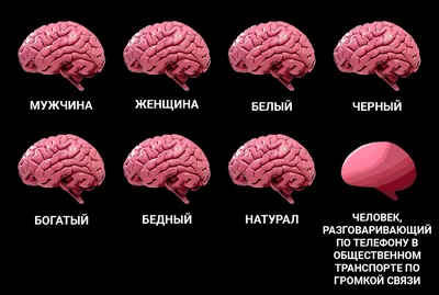 Что в голове у умного человека?» — создано в Шедевруме