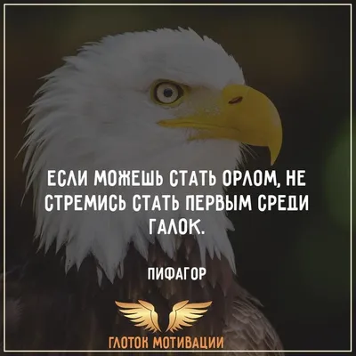 Что говорят умные женщины. О любви, мужчинах, смысле жизни и самих себе, ,  купить книгу 978-5-386-02917-3 – Лавка Бабуин, Киев, Украина