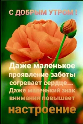 Картинка умное утро (45 фото) » Юмор, позитив и много смешных картинок