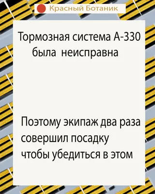 Самые глупые приколы из мира гражданской авиации | Красный Ботаник | Дзен