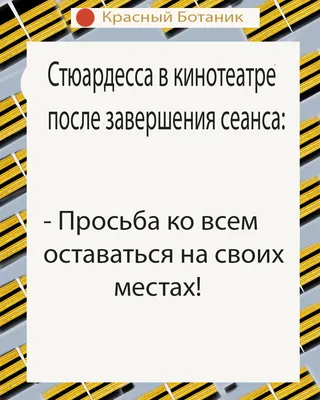 Пин от пользователя Татьяна на доске Умные мысли | Шутки, Мудрые цитаты,  Смешно