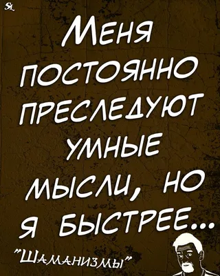 Шаманизмы. Шутки. Прикол. Юмор. Мемы. Одностишья. Jokes. Joke Humor. Memes  Alone. #shaman_ledentsov | Phrase of the day, Quotations, Funny jokes