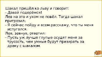 Анекдоты про мужчин: 50+ смешных свежих шуток о представителях сильного пола