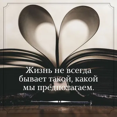 Прикольные статусы на все случаи жизни для социальных сетей: 50+ вариантов