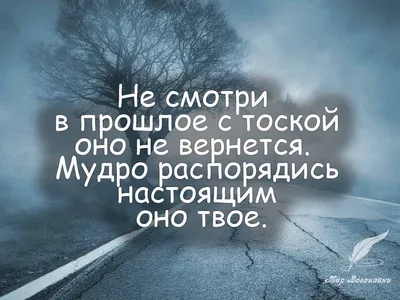 120 цитат про жизнь, которые помогут вдохновиться и задуматься