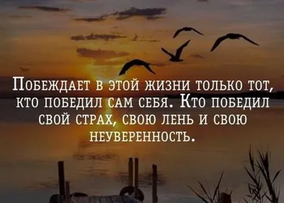 Мудрые цитаты Ремарка про возраст для тех, кому за 50 | Убежденный холостяк  | Дзен