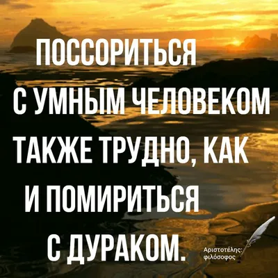 Цитаты про тренировки, совершенствование навыков и мотивацию: умные  высказывания и оригинальные статусы