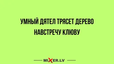 Юмор за день и умный дятел | Mixnews