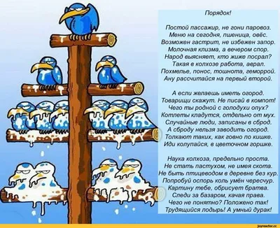 Черный юмор: более 50 острых анекдотов и шуток