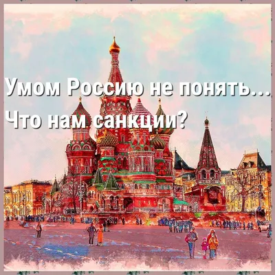 Умом Россию не понять... Что нам санкции? | Истории Риммы Ральф и кошки  Мурки | Дзен