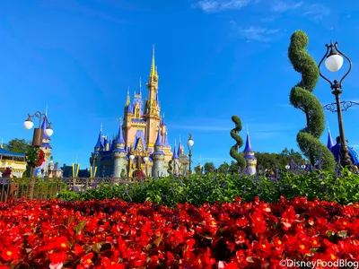 Наш БЕСПЛАТНЫЙ ПОДАРОК ​​ВАМ! 29 обоев Disney World от DFB! | кулинарный блог Диснея