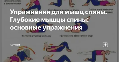 Упражнения для здоровой спины - оборудование Starfit