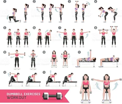 Woman dumbbell workout fitness and exercises. | Exercícios com halteres,  Exercícios para os braços, Treino com halteres