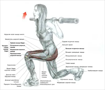 Скачать курс «Горячие тренировки ног и ягодиц для продвинутых» [FitSpoКлуб]