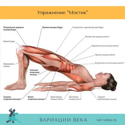 Диагональные и перекрёстные выпады: упражнения для ног и ягодиц, что такое  выпады и виды