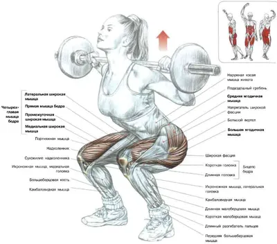 10 лучших упражнений для ягодиц с собственным весом - GymBeam Blog