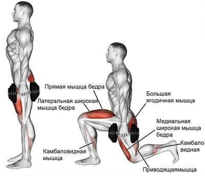 6 упражнений для ног, которые вы можете делать где угодно! | Упражнения,  Тренировки, Тренировочные упражнения