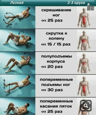 36 exercises on the press to pump it completely | Упражнения, Тренировка  живота мужчины, Физкультурные упражнения