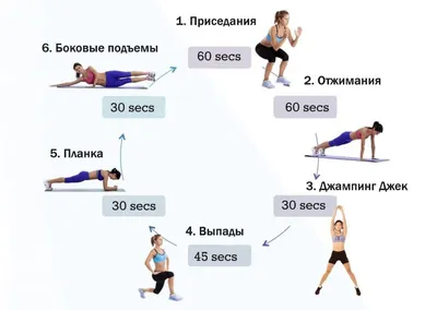 Комплекс упражнений для тренировок в домашних условиях: программа  тренировок дома на все группы мышц