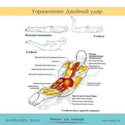 Упражнения для укрепления мыщц спины. | Костоправ Оренбург "Здоровый  Стержень" | Дзен