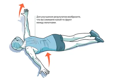Эффективные упражнения для укрепления мышц спины в тренажерном зале -  Рамблер/женский