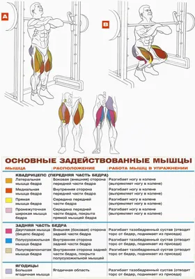 Упражнения для внутренней части бедра дома | Упражнения для внутренней  части бедра, Упражнения, Круговые тренировки