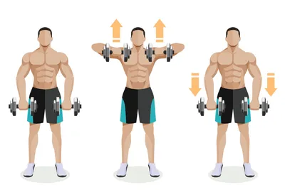 Тренировка плеч: эффективные упражнения, советы, особенности, программа  тренировки - Блоги - 