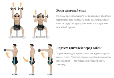 Как правильно качать плечи? Программа лучших упражнений c гантелями |  Фитсевен | Дзен