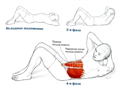 2 схемы упражнений как накачать пресс - за месяц - дома | StoreProFit | Дзен