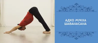 Йога для начинающих. 15 минут для стройности и настроения [Workout | Будь в  форме] - YouTube