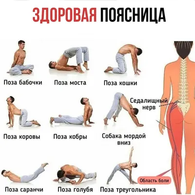 Упражнения, которые не следует делать при боли в спине | MedKontrol  Маріуполь