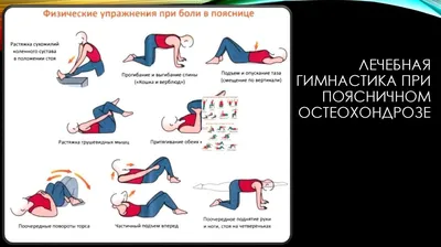 Йога при шейном, грудном и поясничном остеохондрозе