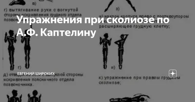 Упражнения при сколиозе по А.Ф. Каптелину | Евгений Широких Если человек  встает после падения — это не физика, это характер. | Дзен