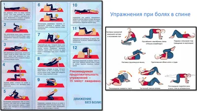 Комплекс упражнений при сколиозе, как скорректировать осанку - Чемпионат