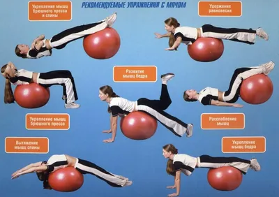 Эффективные упражнения с фитболом для похудения: полезные статьи о  тренажерах и не только