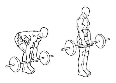 Эффективные упражнения со штангой – Статьи о спортивных товарах:  