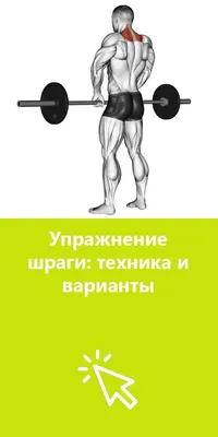 Один из лучших спортивных снарядов!" 5 лучших упражнений со штангой |  Максим proFitness | Дзен