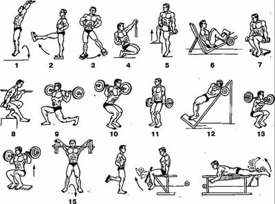 Упражнения в тренажерном зале для мужчин картинки